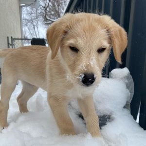 Meet your Posher, Maria isabel